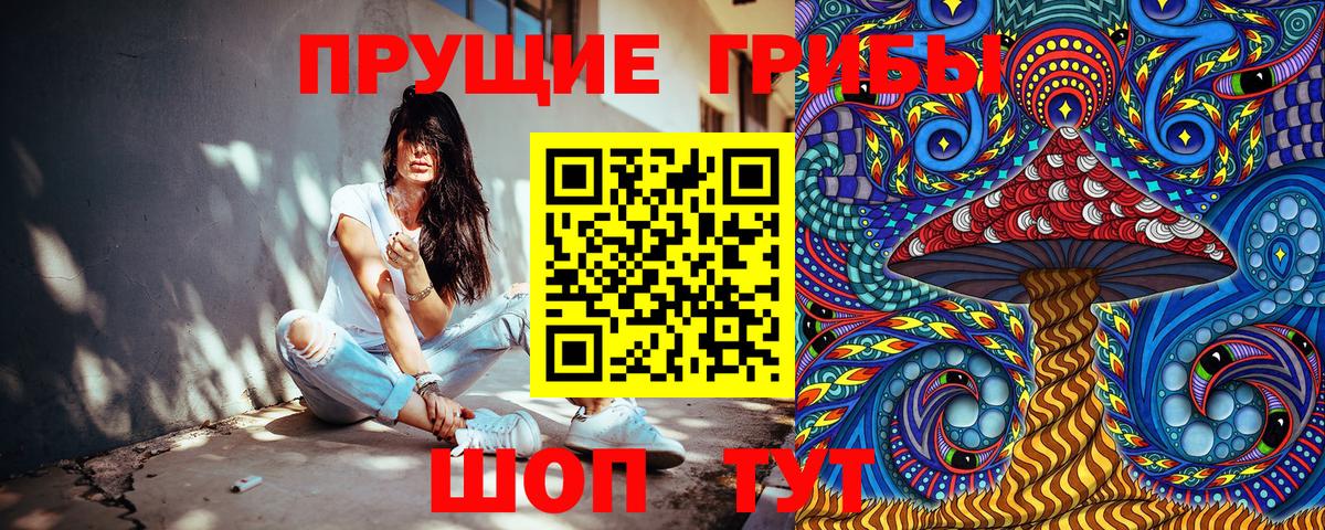Псилоцибиновые грибы GOLDEN TEACHER Евпатория