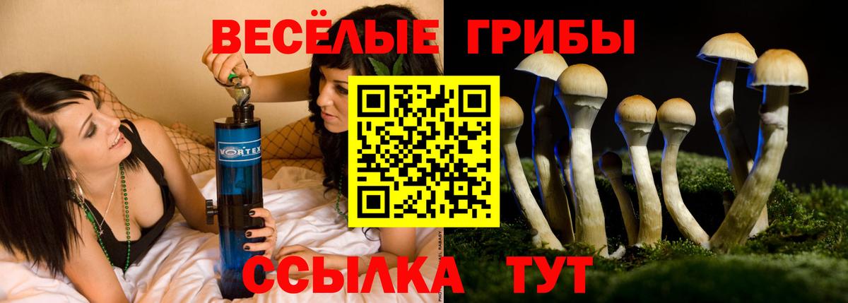 Евпатория  Псилоцибиновые грибы мицелий  Вход с VPN 